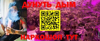 эйфоретик Малгобек