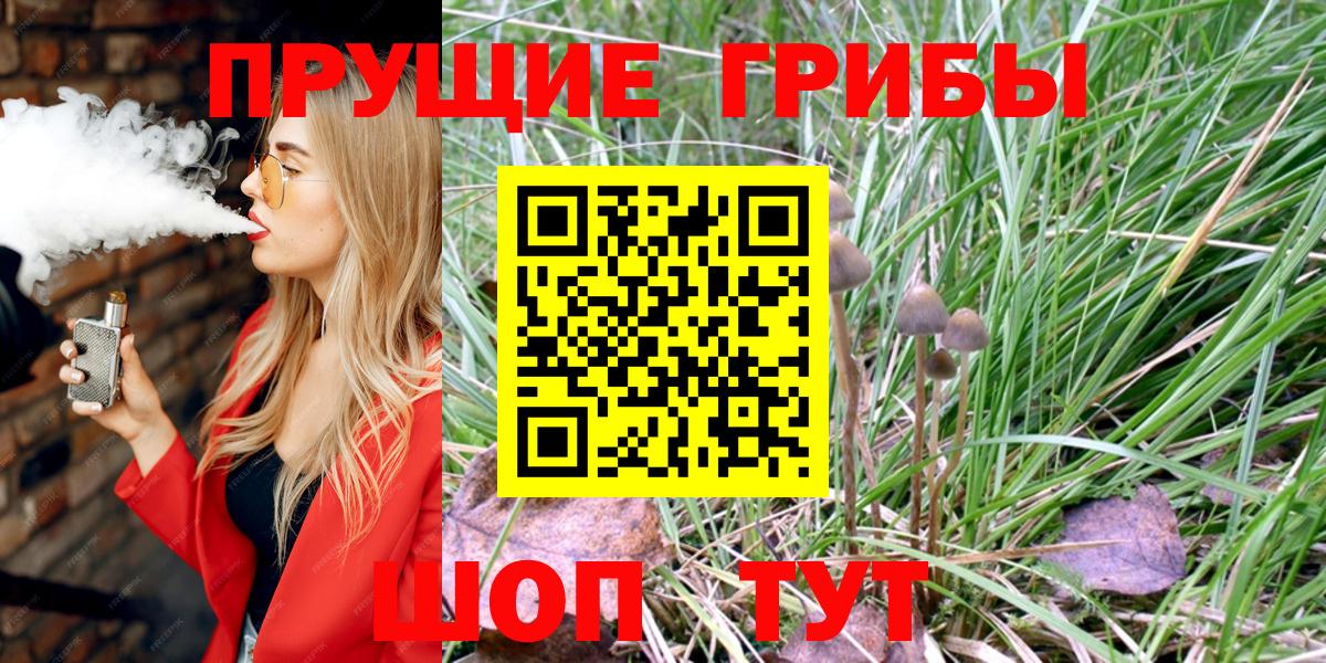 сколько стоит  Вход с VPN  Тавда  Псилоцибиновые грибы GOLDEN TEACHER 